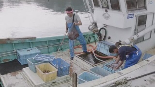岩手県魅力発信PR動画「いわての海と生きる。～漁師と娘の物語～」